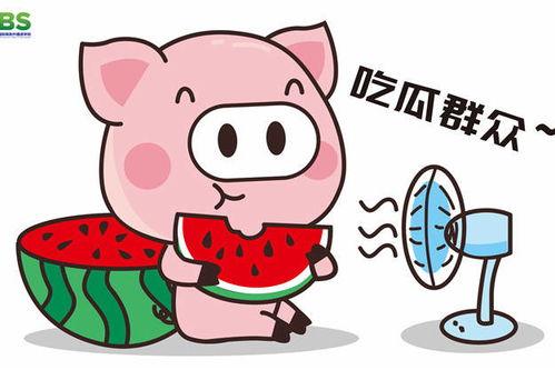 娱乐吃瓜酱补习英语,娱乐吃瓜酱带你轻松补习英语